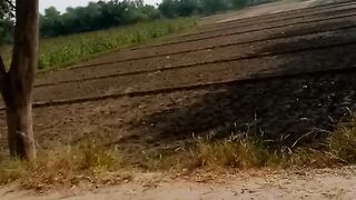 9 acre Raqba For Sale