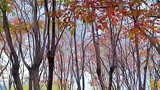 Nature after rain