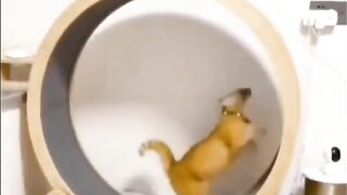 when you ate too many calories