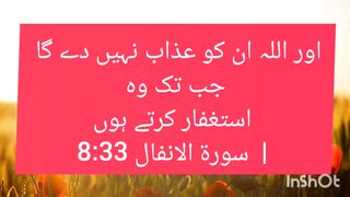 Best Qoutes from Quran Part 1