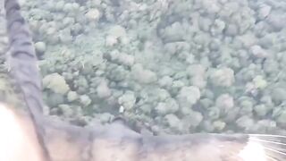Best video on Social Media ❤❤ Eagle Love ❤❤