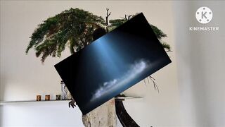 3d my work, master paint
