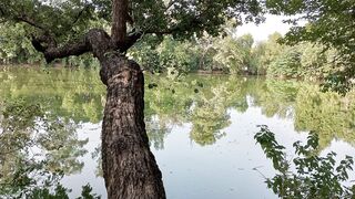 Ayub national pakistan