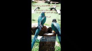 Hadees e Nabvi