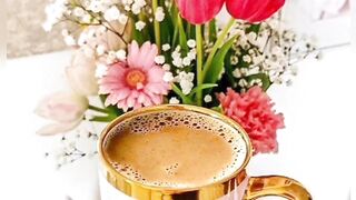 Good morning ???????????? morning ???? status ???? Whatsapp status ☺️????
