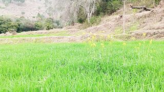 Kashmir village