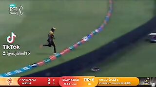 Cricket