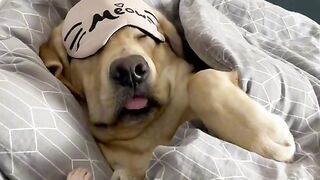 very tired