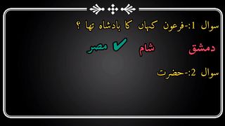 IBA test MCQS