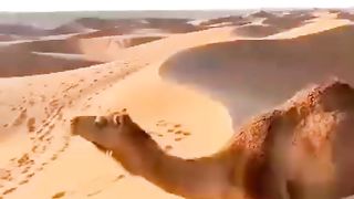 Allah ki makhlooq