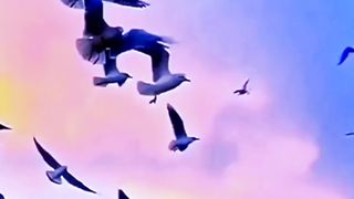 Namaz e Fajr chorny k 7 nuqsaan