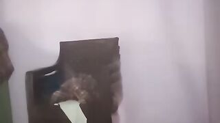 My first rial video