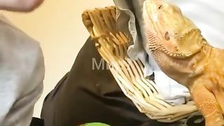 these are some funny animals
