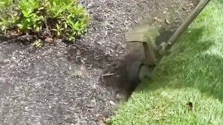 Satisfying video For Workers