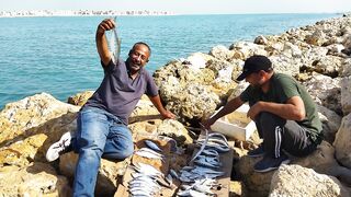 Fishing in Bahrain Near Salmania 2023