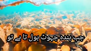 Jhot bolny sy