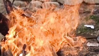 Pure Fire Ready For Barbecue.