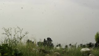 Wind sound for sleeping |latest relaxing sound | grx videos