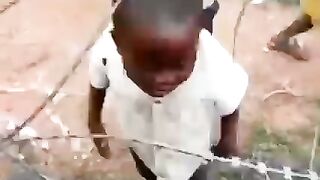 Funny videos