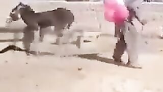 ہنسنا منع ہے