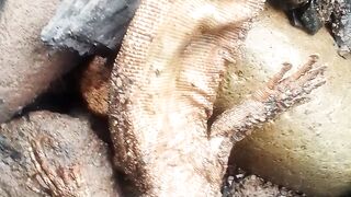 What is this ? Wait till the end