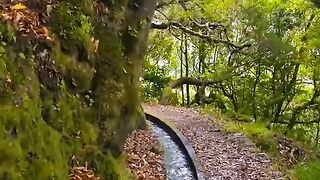 Beautiful nature way