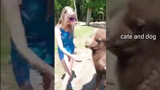 funy cates tiktok cate cute funy