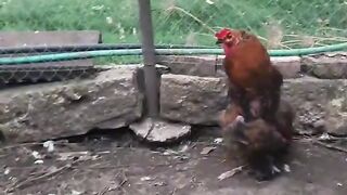 michael jackson parody