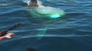 1 crode biggest Shark ????????????  hunting