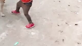 Dog funny video