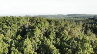 Relaxing and deep sleep music nature video 0.1