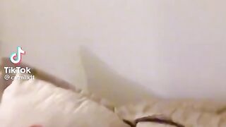 Cute Cat