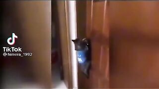open the door
