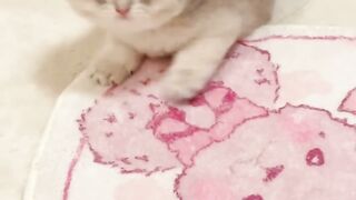 Sleeping mode