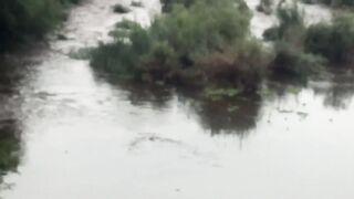 Rawal Dam Spillway Open