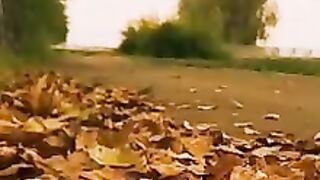 Automn scene beautiful