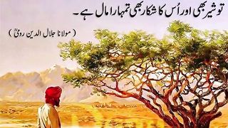 quotes||urdu quotes||