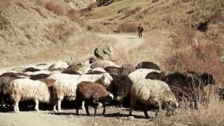 Султан Ураган – На дискотеку