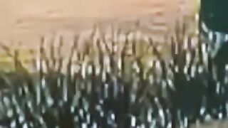 Парень по приколу бросил свою подружку через бедро, а та получила тяжёлую травму .