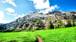 beautiful nature