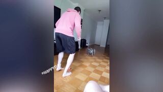Смешное видео про животных)))