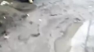 Самое милое задержание.