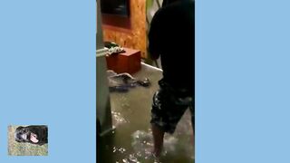 Наводнение таит в себе неожиданные опасности
