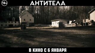 Антитела 