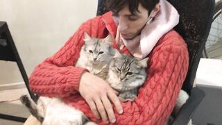 Кошки