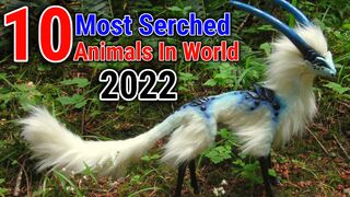 10 Most Popular Animals On Google Search 2022