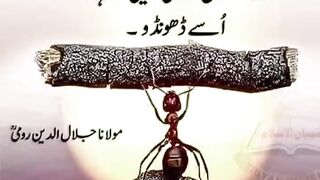 quotes||urdu quotes||motivational quotes||