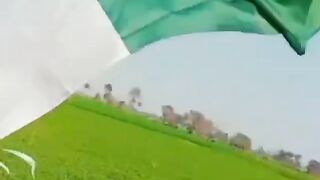Pakistani parcham rafaqat ali