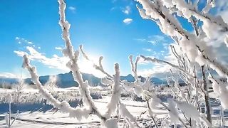 Snow place