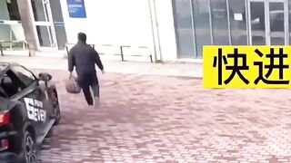 Dog protect owner from thief